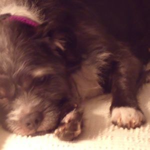 Meet your Posher, Kara